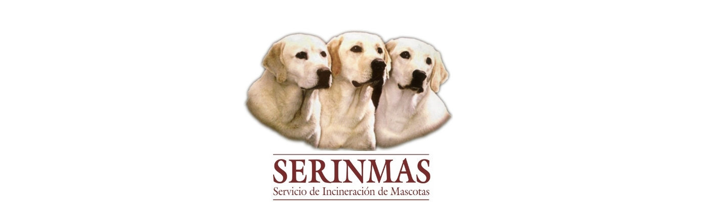 Serinmas Index León(1)